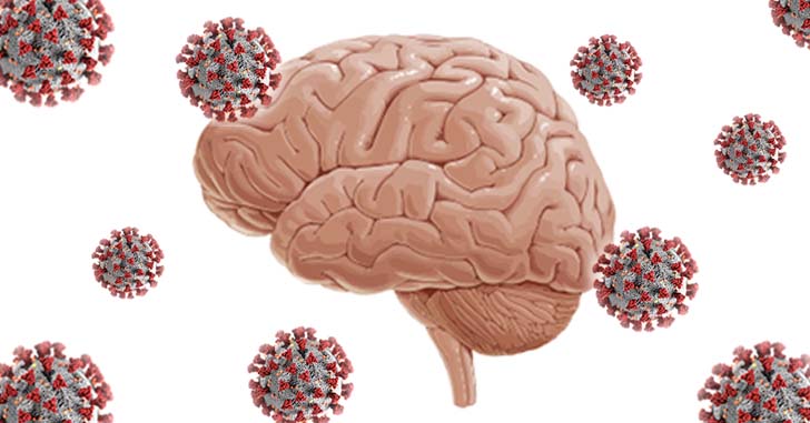 コロナウイルスは脳にも感染する？
