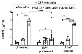 sci-acv-2021-microglia-tau-propagation-8