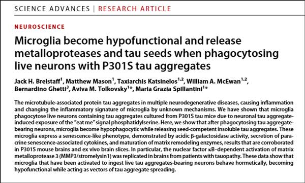 sci-acv-2021-microglia-tau-propagation-title