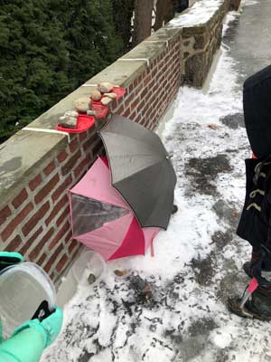 雪だるまの為の防雨対策