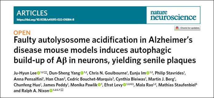 nat_neurosci-2022-panthos-autolysosome-ab-title