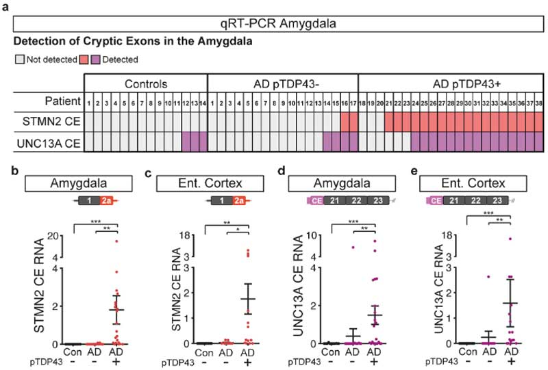 ANP-2024-cryptic-splicing-STMN2-UNC13A-eyecatch