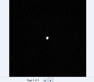 imageJ-tiff-2