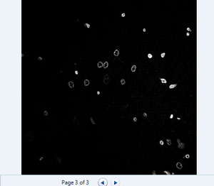 imageJ-tiff-3