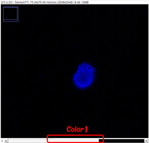 imageJ-color-2