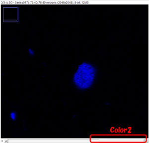 imageJ-color-3