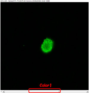 imageJ-color-5