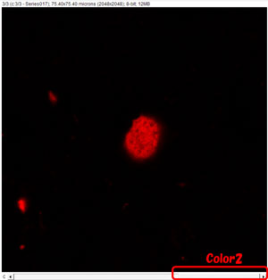 imageJ-color-7