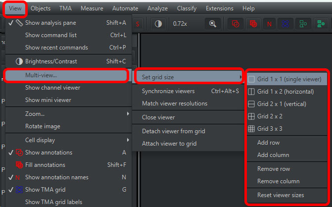 Qupath-multi-view-1