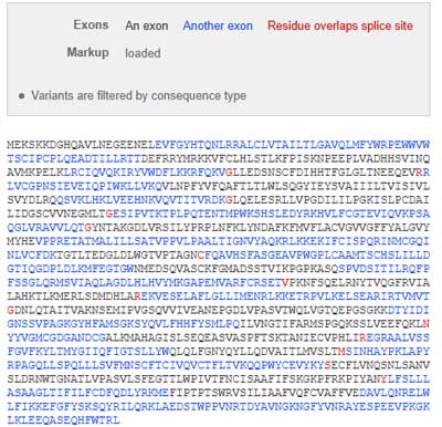 epitope-homology-10