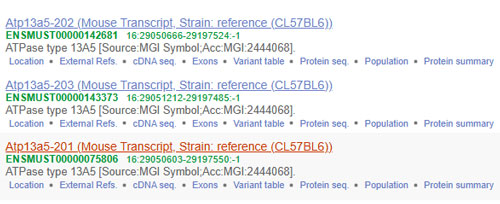 epitope-homology-4