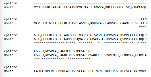 epitope-homology-8